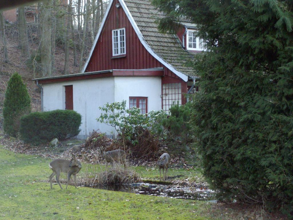 Вилла Skovvej Holiday House 1 Раннерс Экстерьер фото